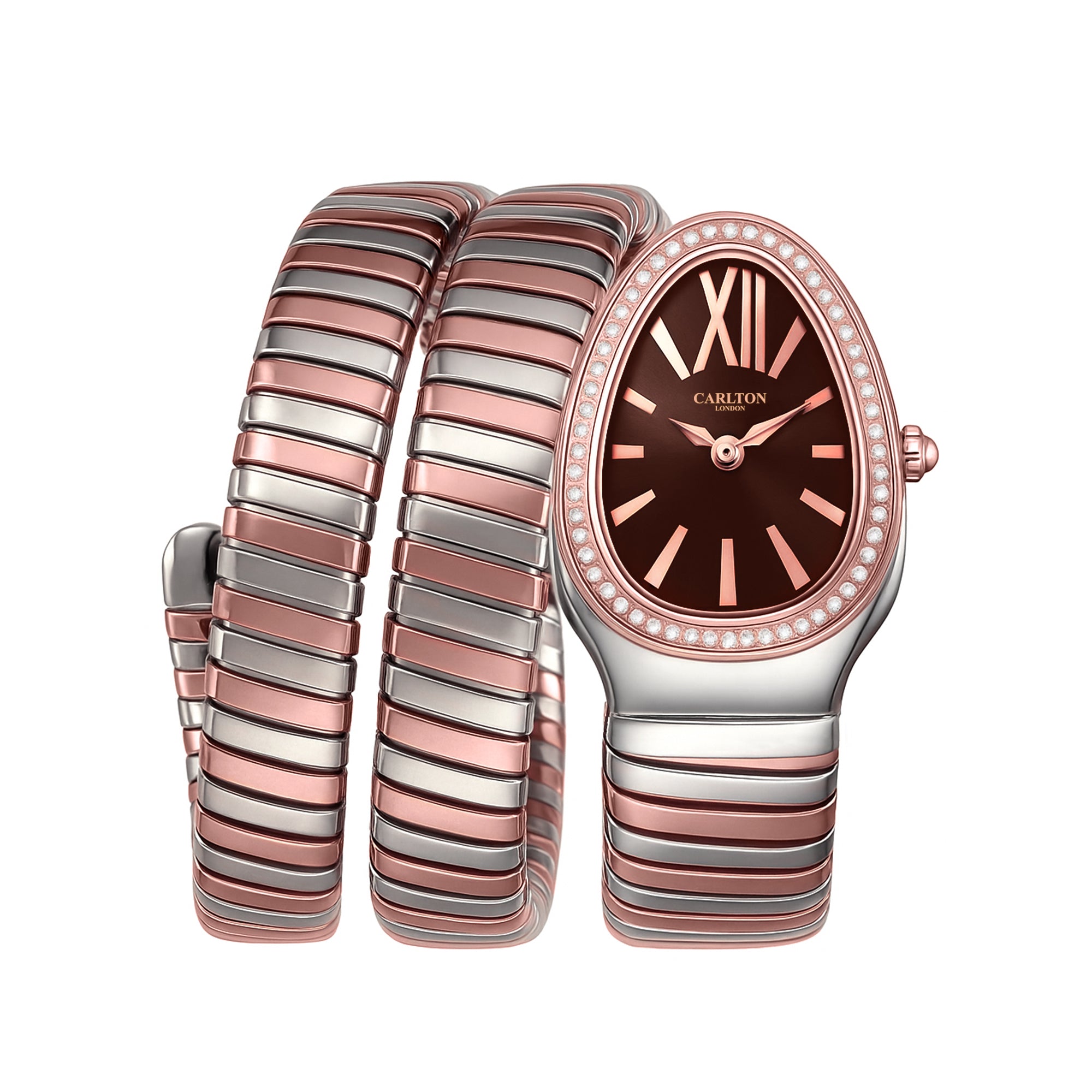 Carlton London Charmer Women Brown Stainless Steel Analog Watch - CLW-SNK-A4BR