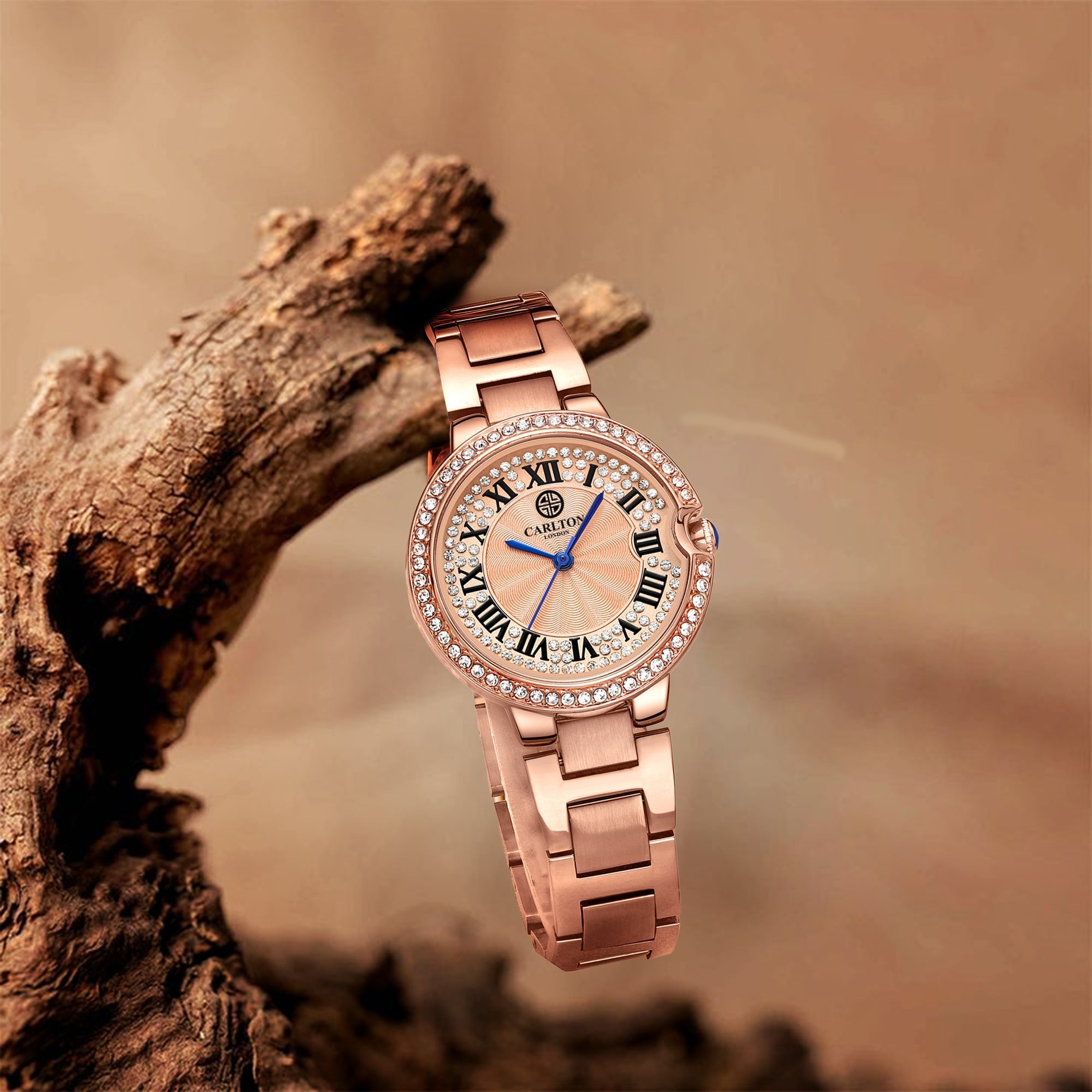 Charlotte Women Analog Rose Gold Watch-CLDRGS-001