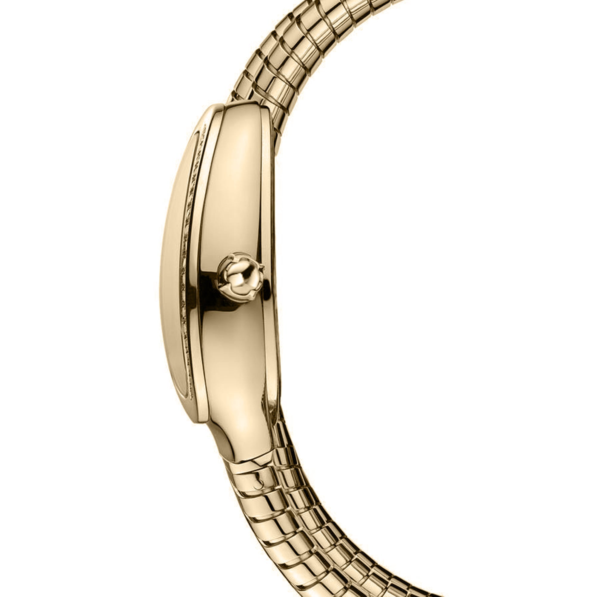 Carlton London Charmer Women Green Stainless Steel Analog Watch - CLW-SNK-A3GN