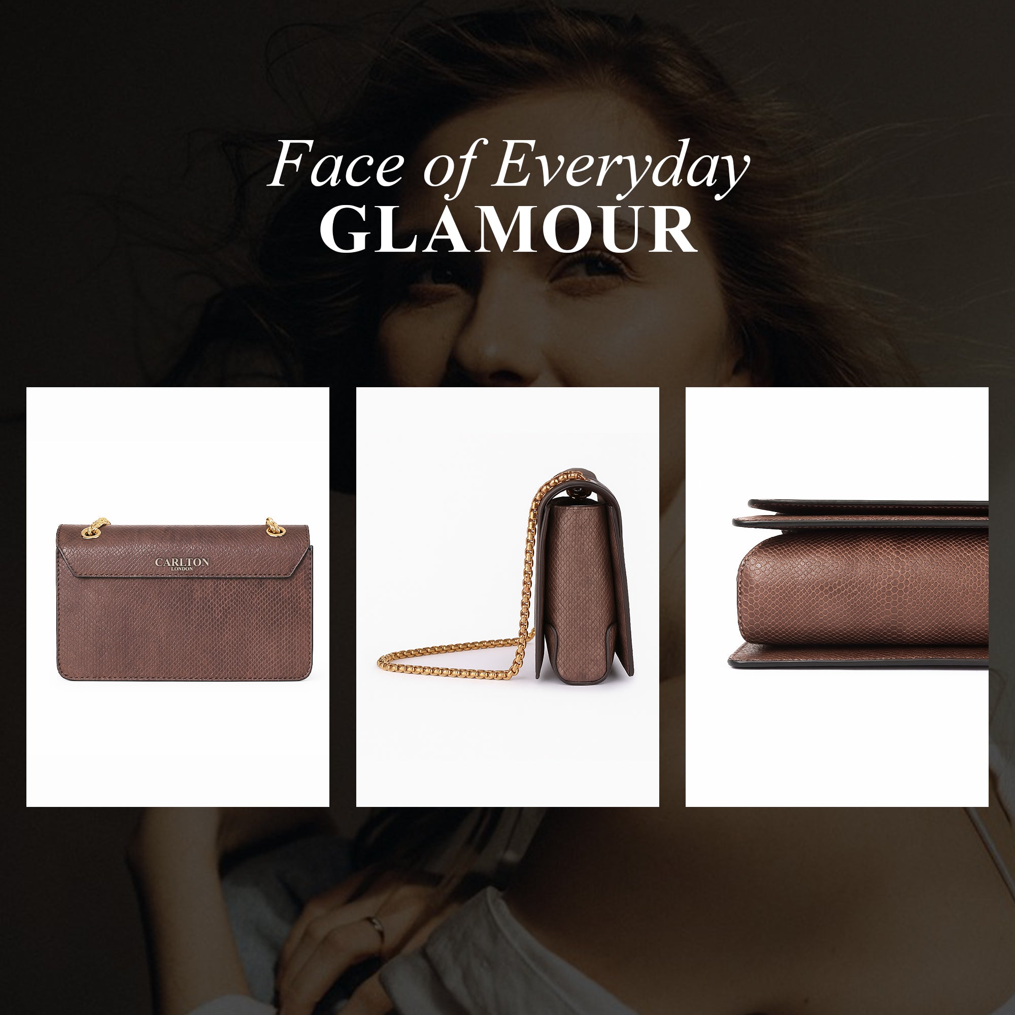 Carlton London Women Handbag - CLLP-914 DK.BROWN