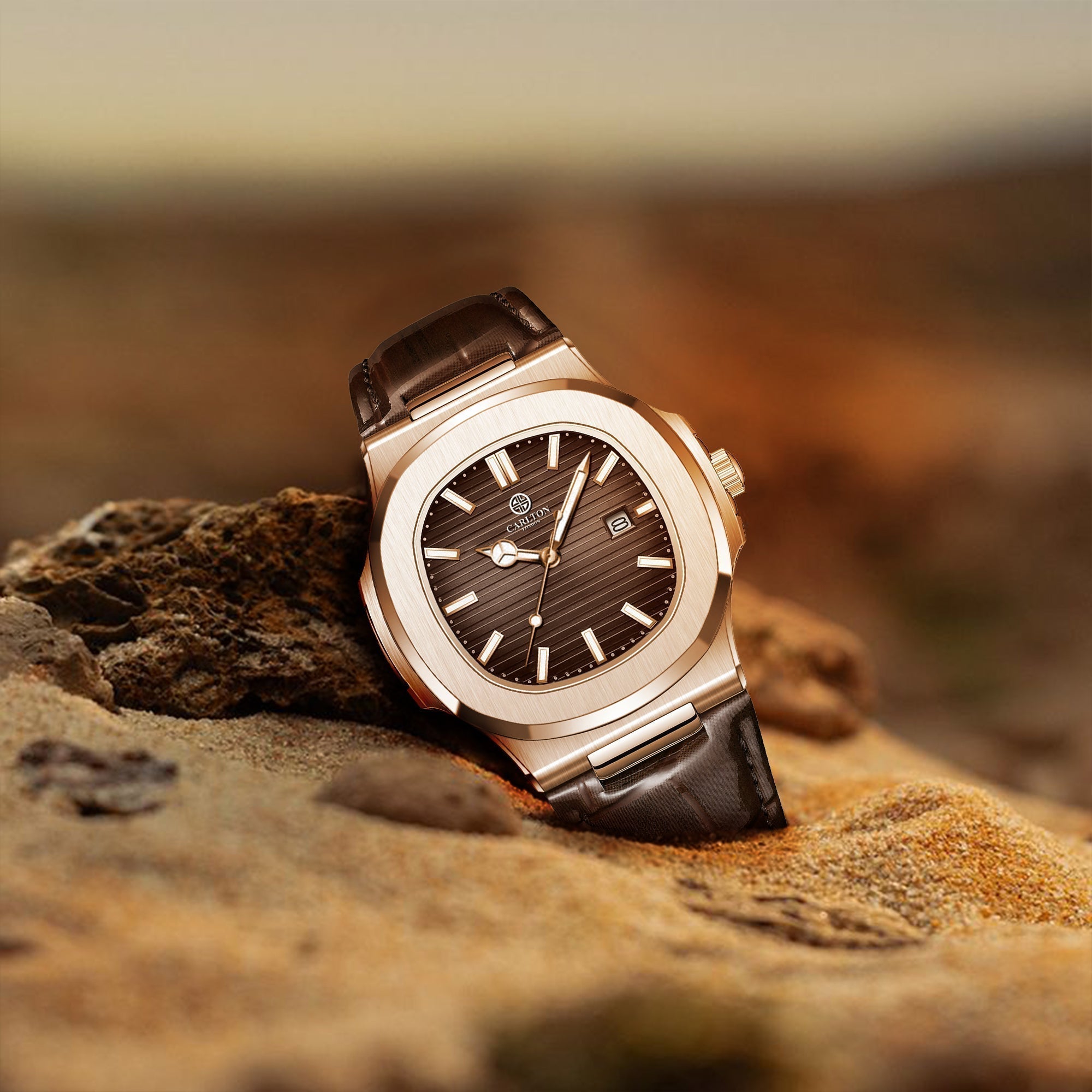 Jordan Men Analog Brown Watch -CLJOR-002
