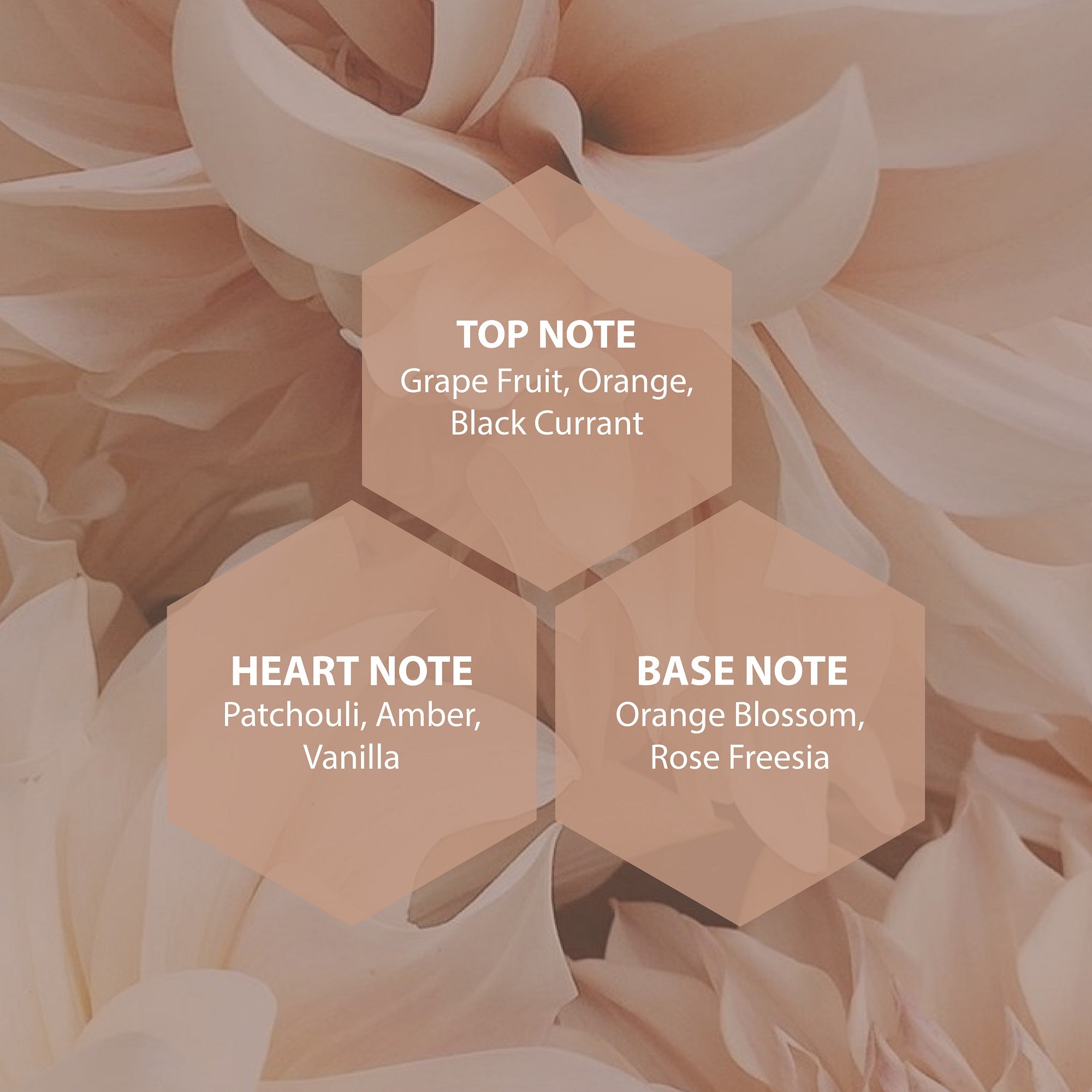 Women Desire Perfume - 8Ml