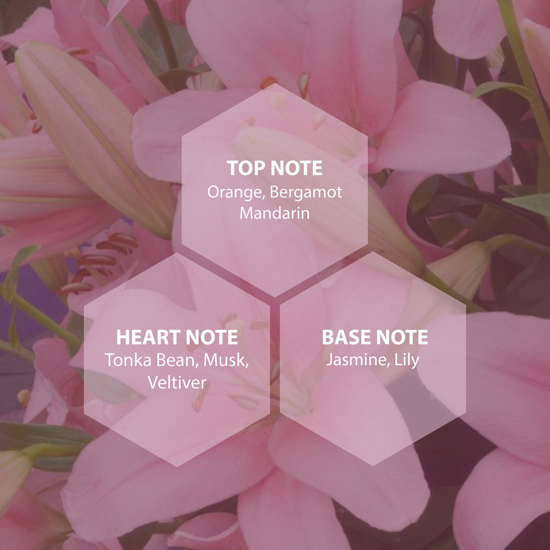 Women Muse Perfume - 8Ml