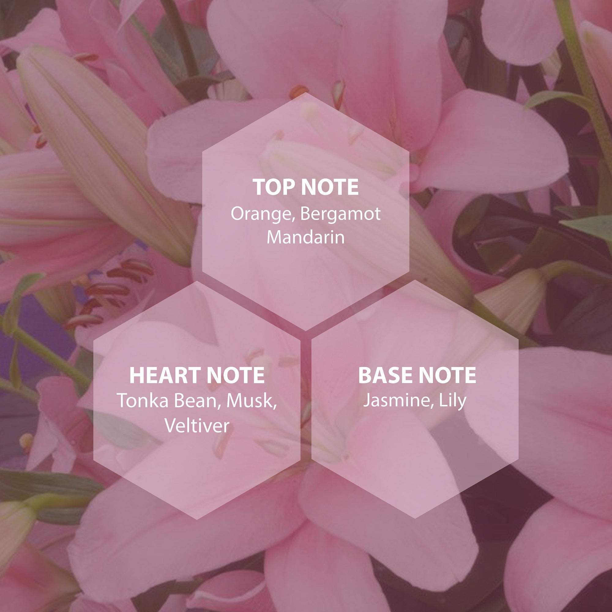 Women Muse Perfume - 8Ml