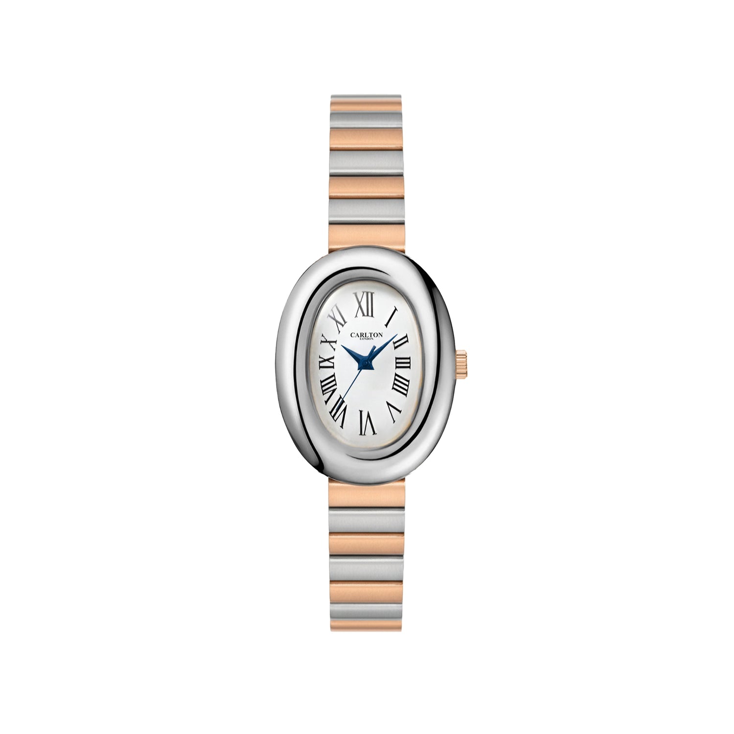 Carlton London Women Daphne Analog Watch CL-DA-SW