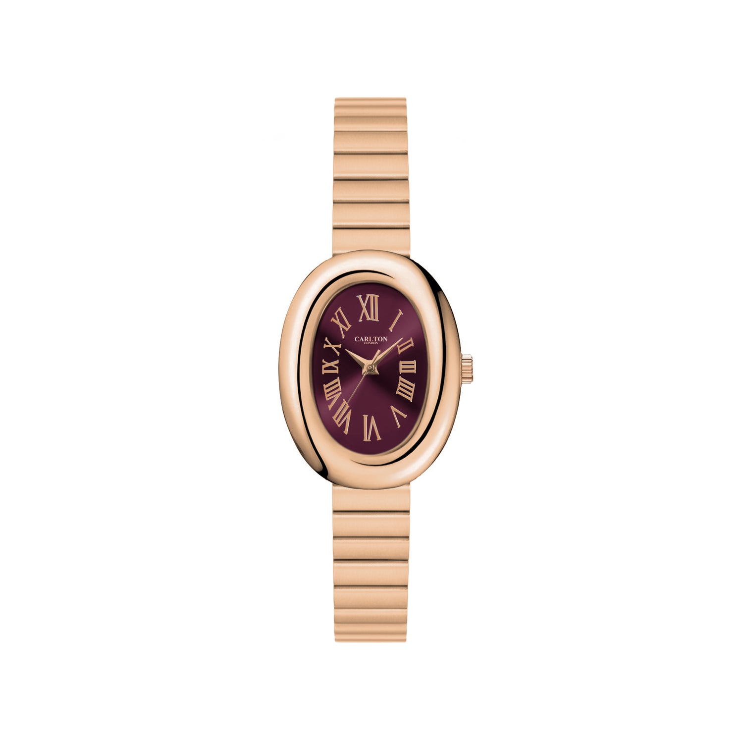 Carlton London Women Daphne Analog Watch CL-DA-BRG