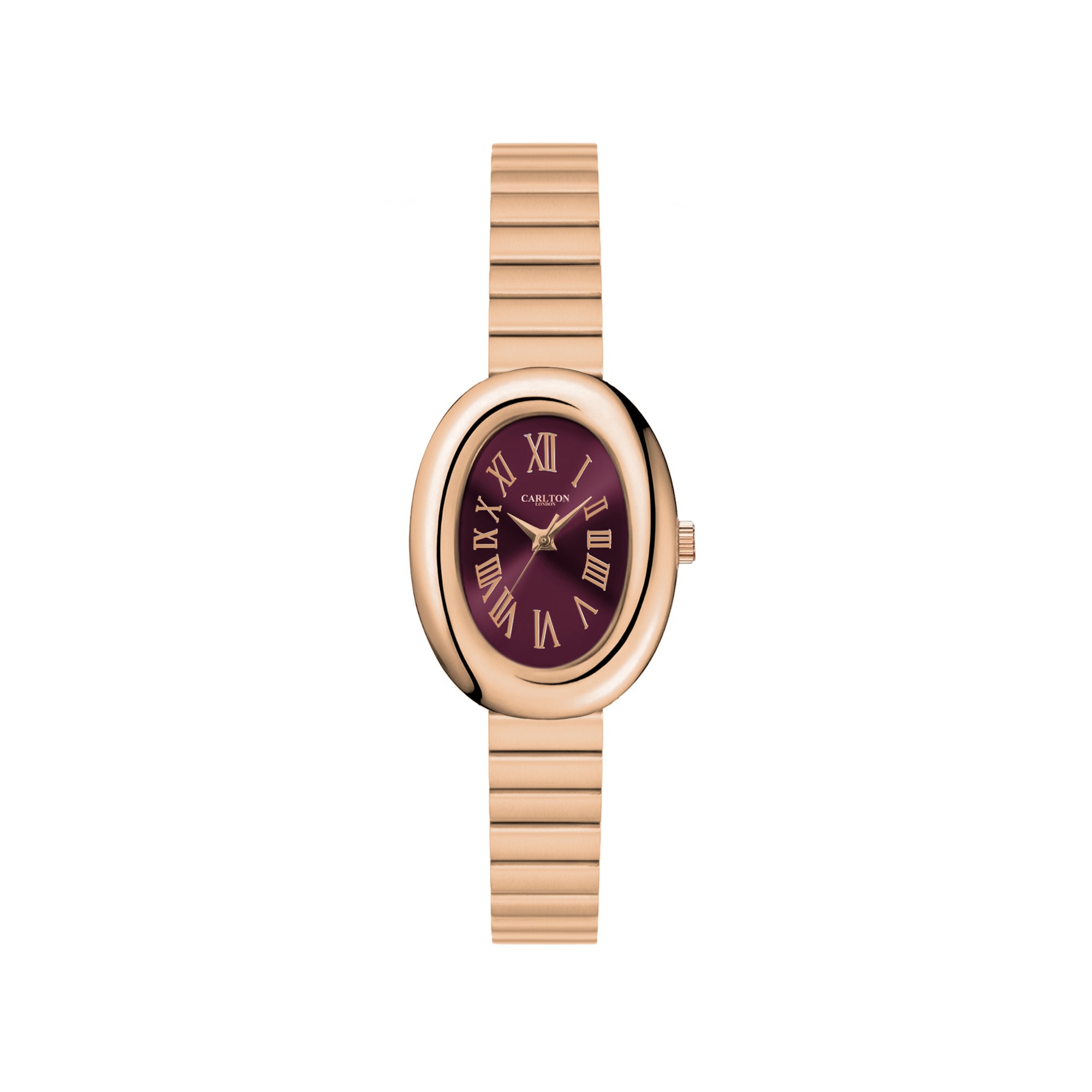 Carlton London Women Daphne Analog Watch CL-DA-BRG