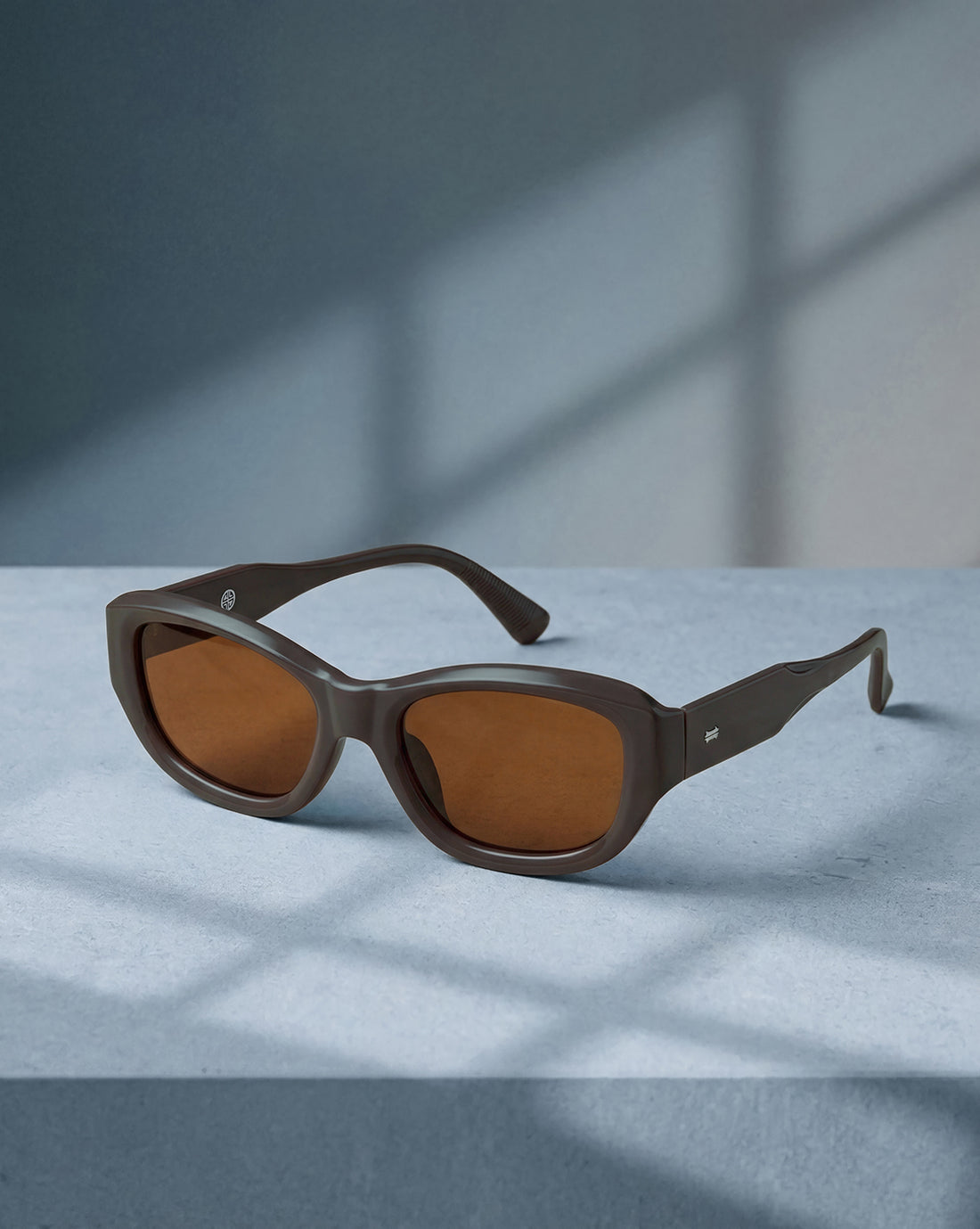 Women Beige Toned UV Protected Brown Lens Wayfarer Sunglasses