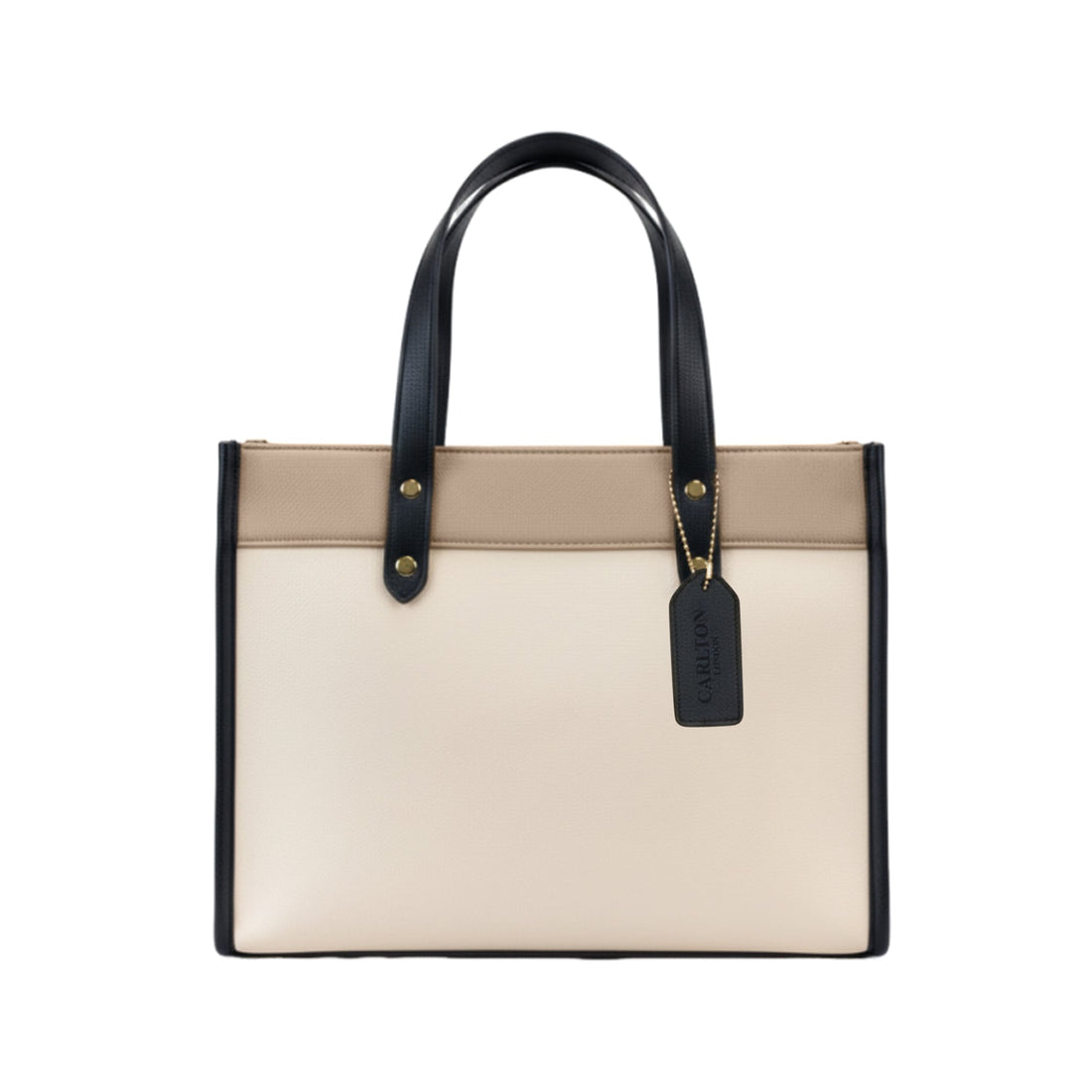 Carlton London Estella Multicolor Textured Tote Bag  CLHB 08