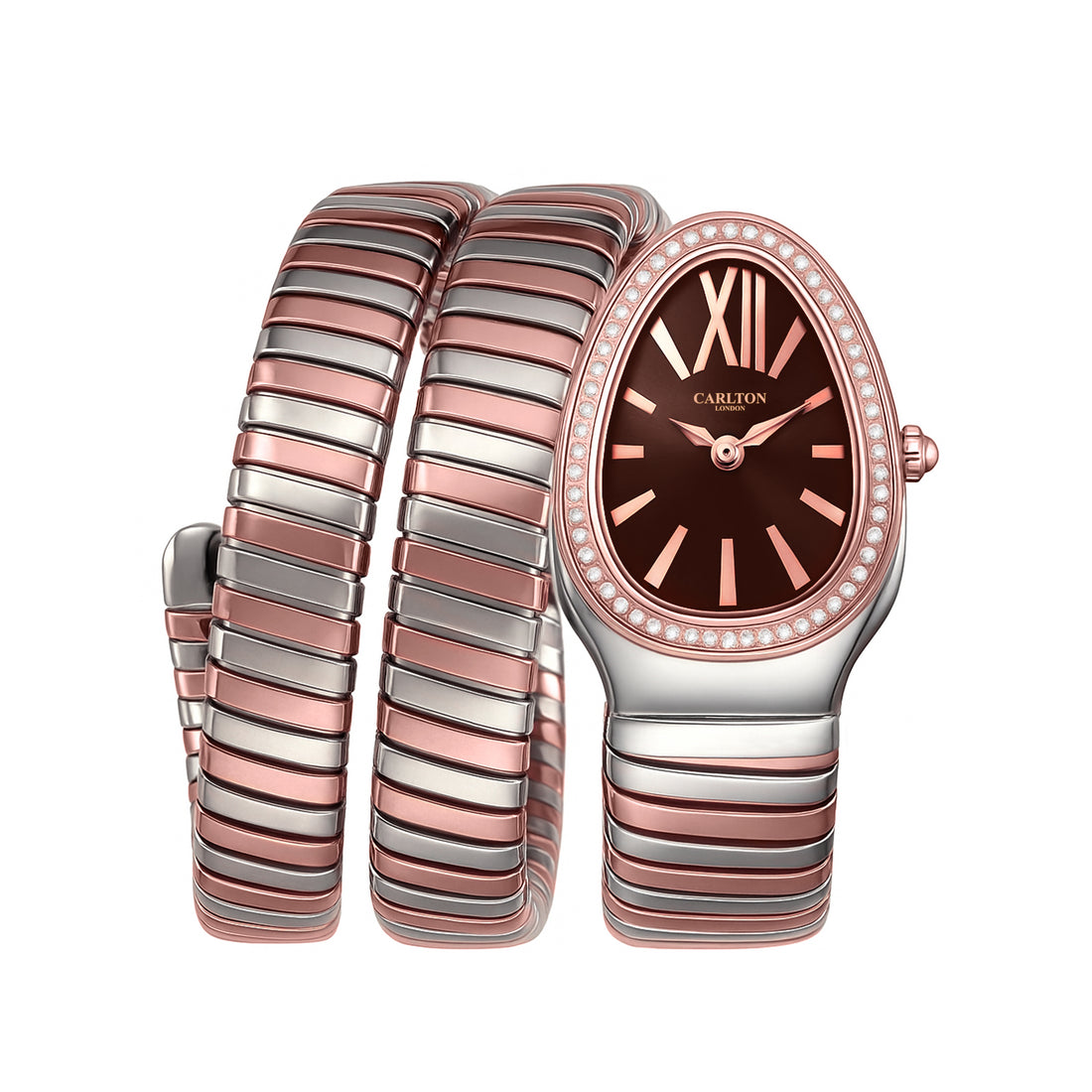 Carlton London Charmer Women Brown Stainless Steel Analog Watch - CLW-SNK-A4BR