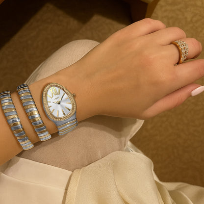 Carlton London Charmer Women Silver Stainless Steel Analog Watch - CLW-SNK-A2GL