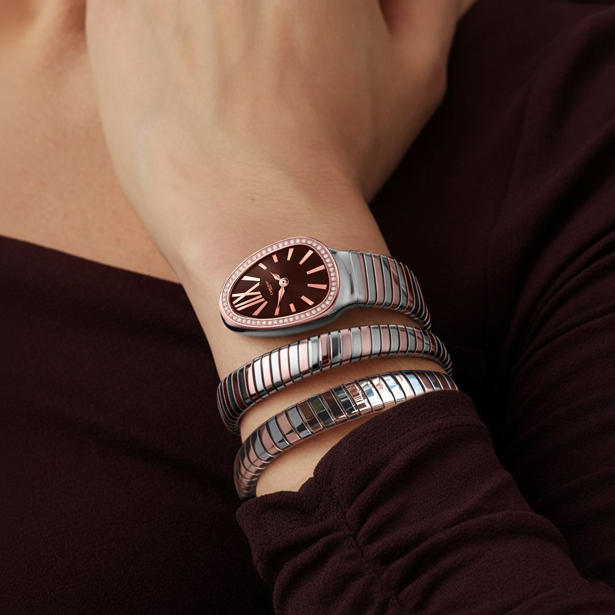 Carlton London Charmer Women Brown Stainless Steel Analog Watch - CLW-SNK-A4BR