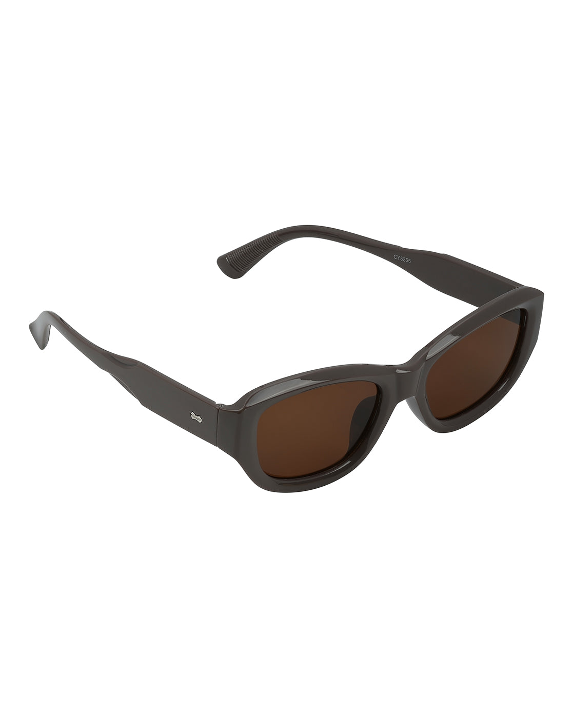 Women Beige Toned UV Protected Brown Lens Wayfarer Sunglasses