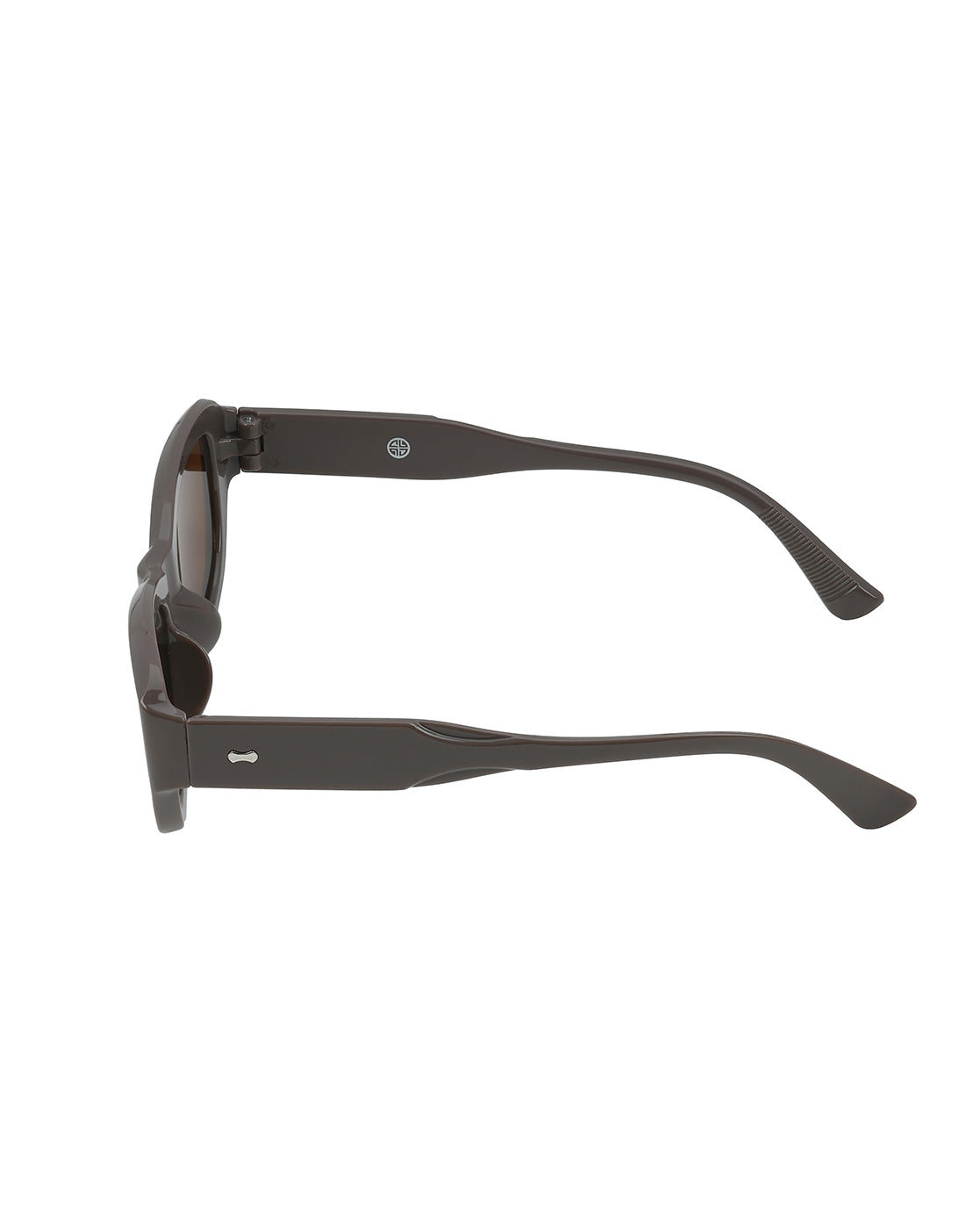 Women Beige Toned UV Protected Brown Lens Wayfarer Sunglasses