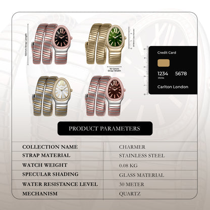 Carlton London Charmer Women Brown Stainless Steel Analog Watch - CLW-SNK-A4BR