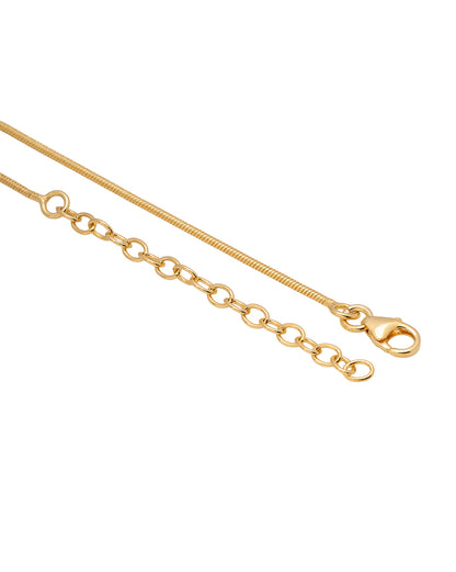 18kt Gold Plated Lariat Necklace