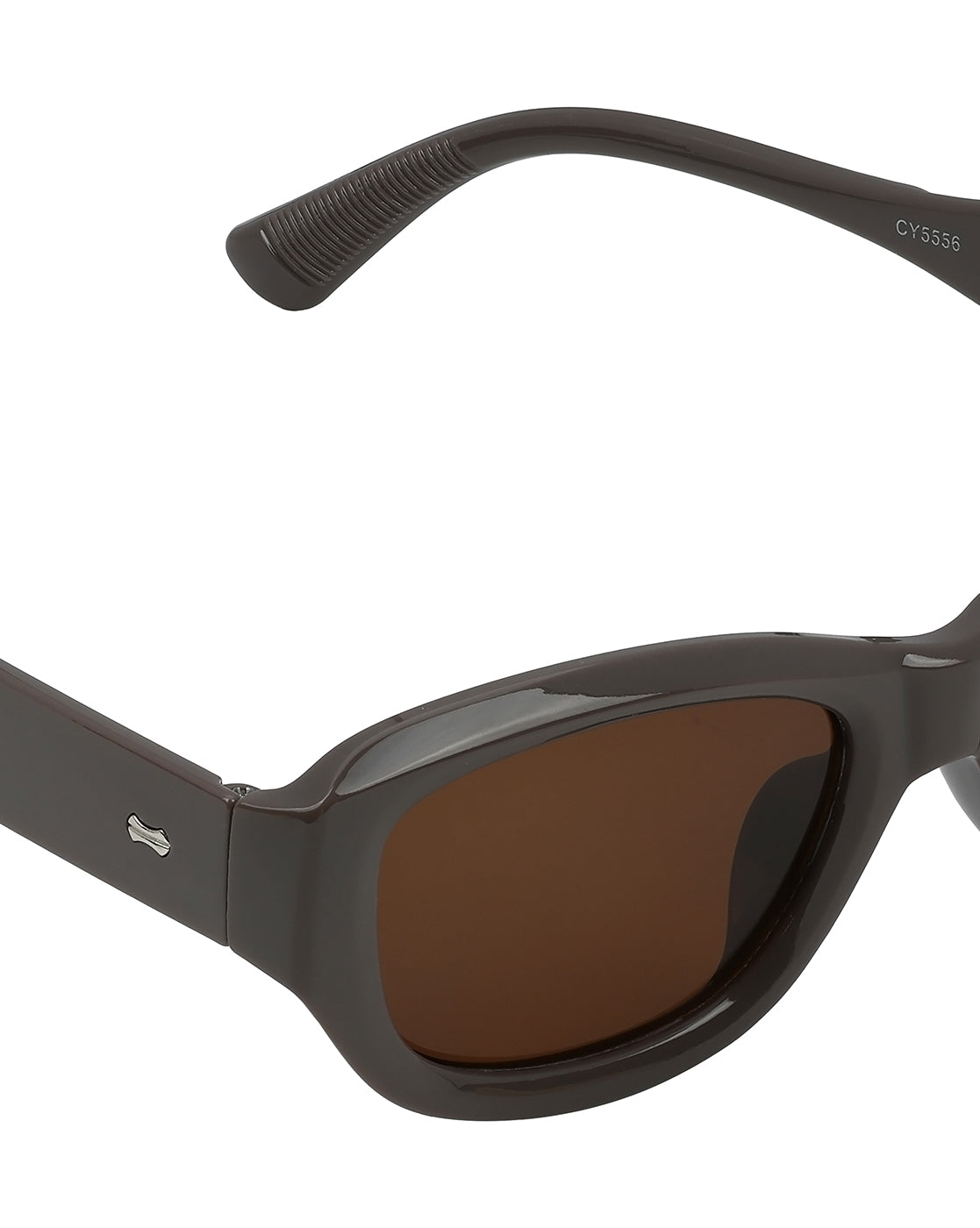 Women Beige Toned UV Protected Brown Lens Wayfarer Sunglasses