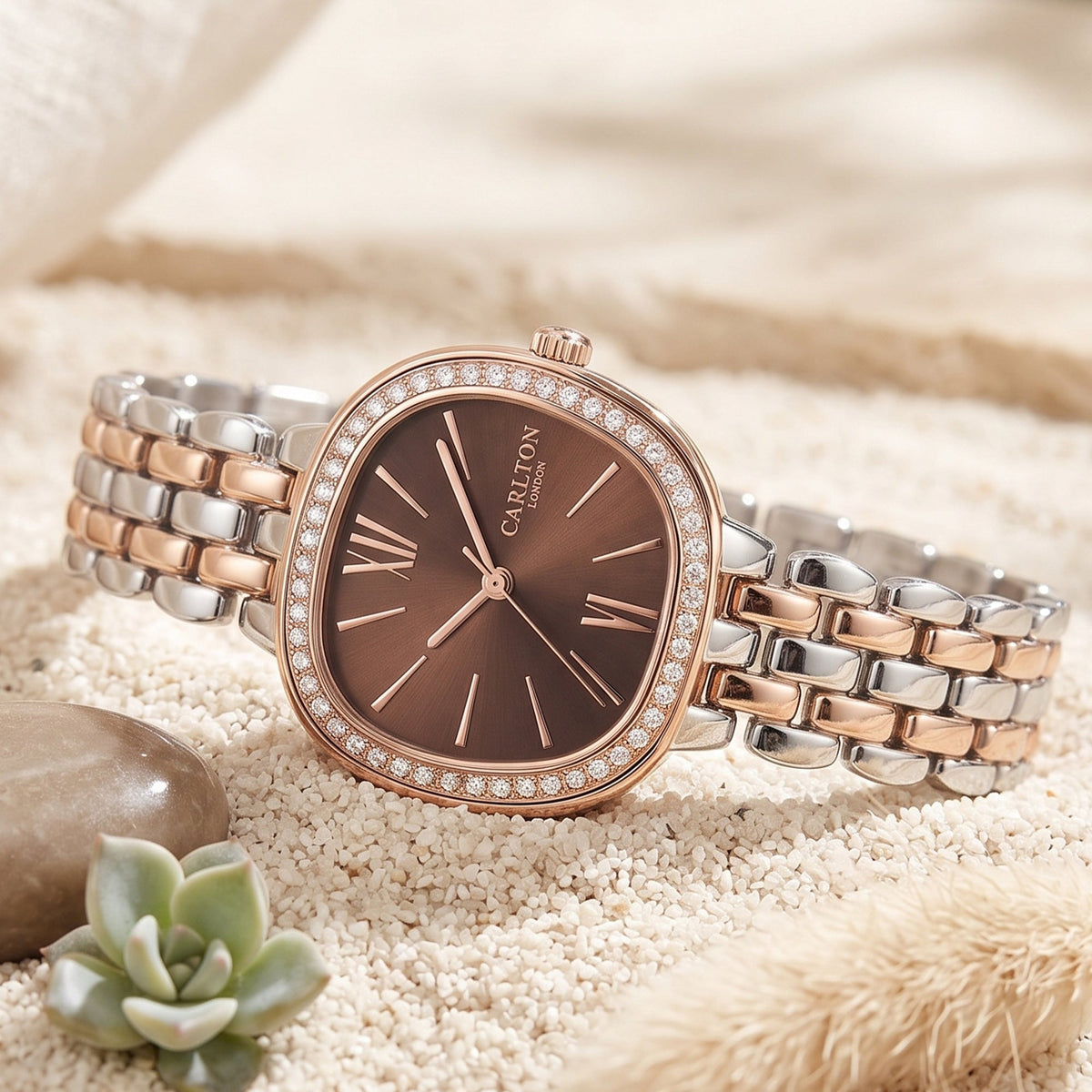 Carlton London Maisie Women’s Watch - Brown Rectangle Dial, Dual Tone Stainless Steel Strap - MSDTBRN