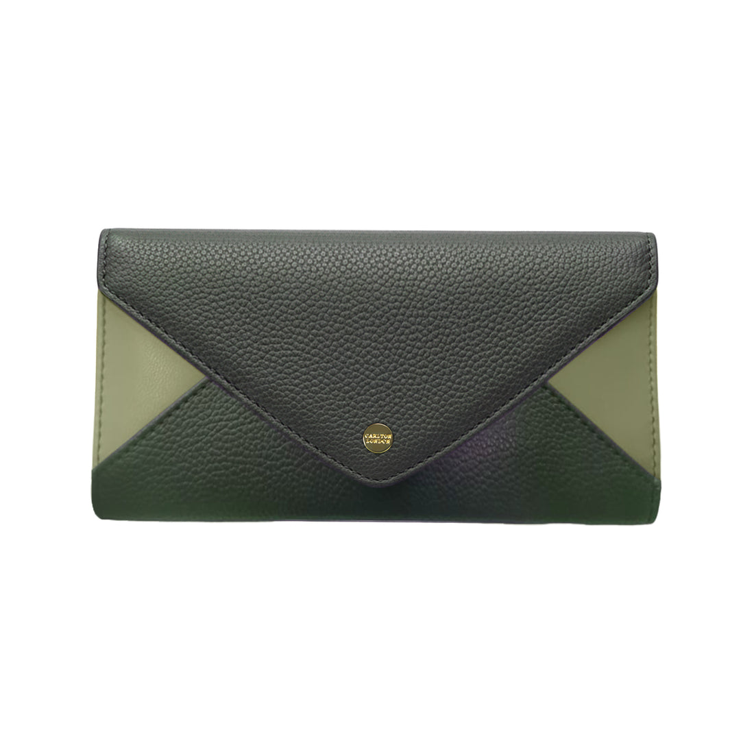 Carlton London Color blocked Textured Two Fold Wallet  Green