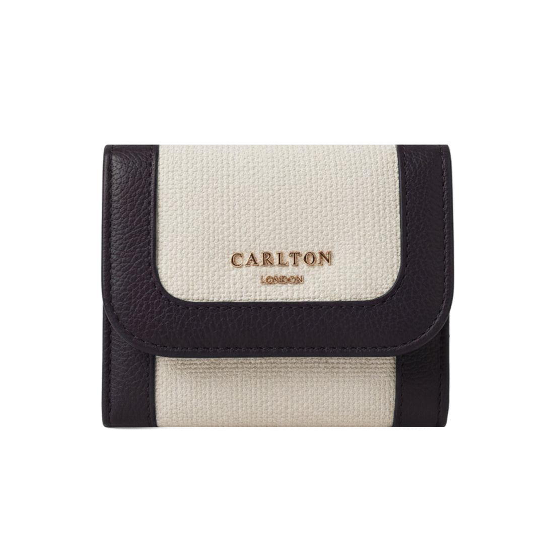 Carlton London Color blocked Textured Two Fold Wallet Brown