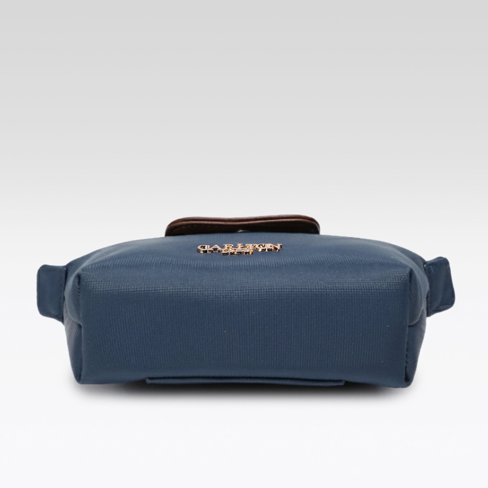 Carlton London Blue Two Toned Sling Bag  CLLP 1049 Blue