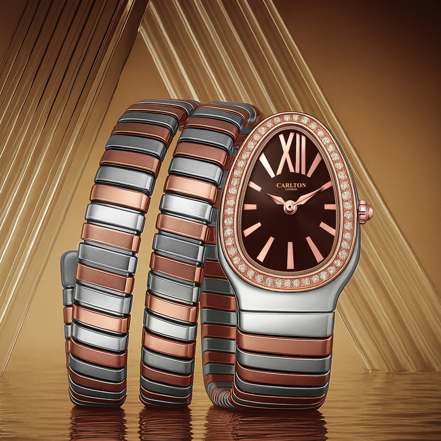 Carlton London Charmer Women Brown Stainless Steel Analog Watch - CLW-SNK-A4BR