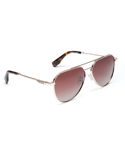 Unisex Premium Polarised UV Protected Brown Lens Gold Toned Aviator Sunglasses