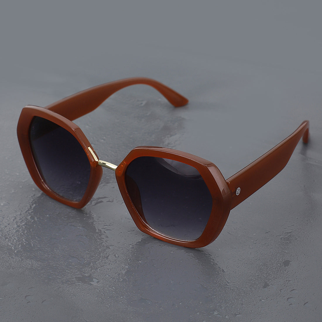 Carlton London Brown &amp; Gold Toned Uv Protected Oversized Sunglasses For Women