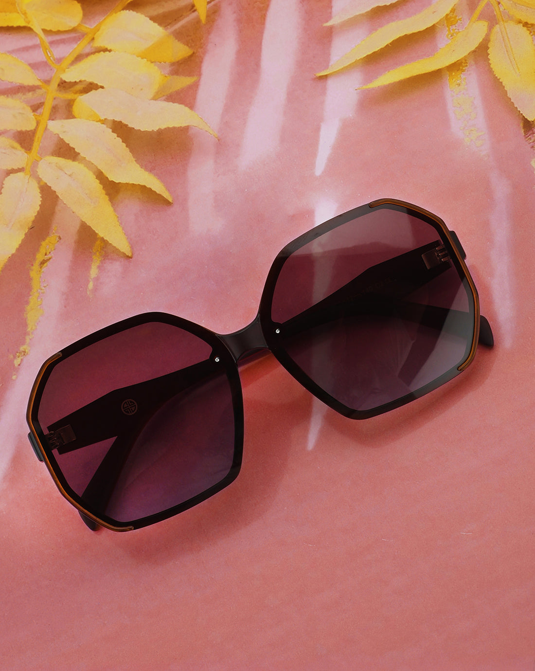 Brown Toned with Brown Lens Polarised Oversized Sunglass for women