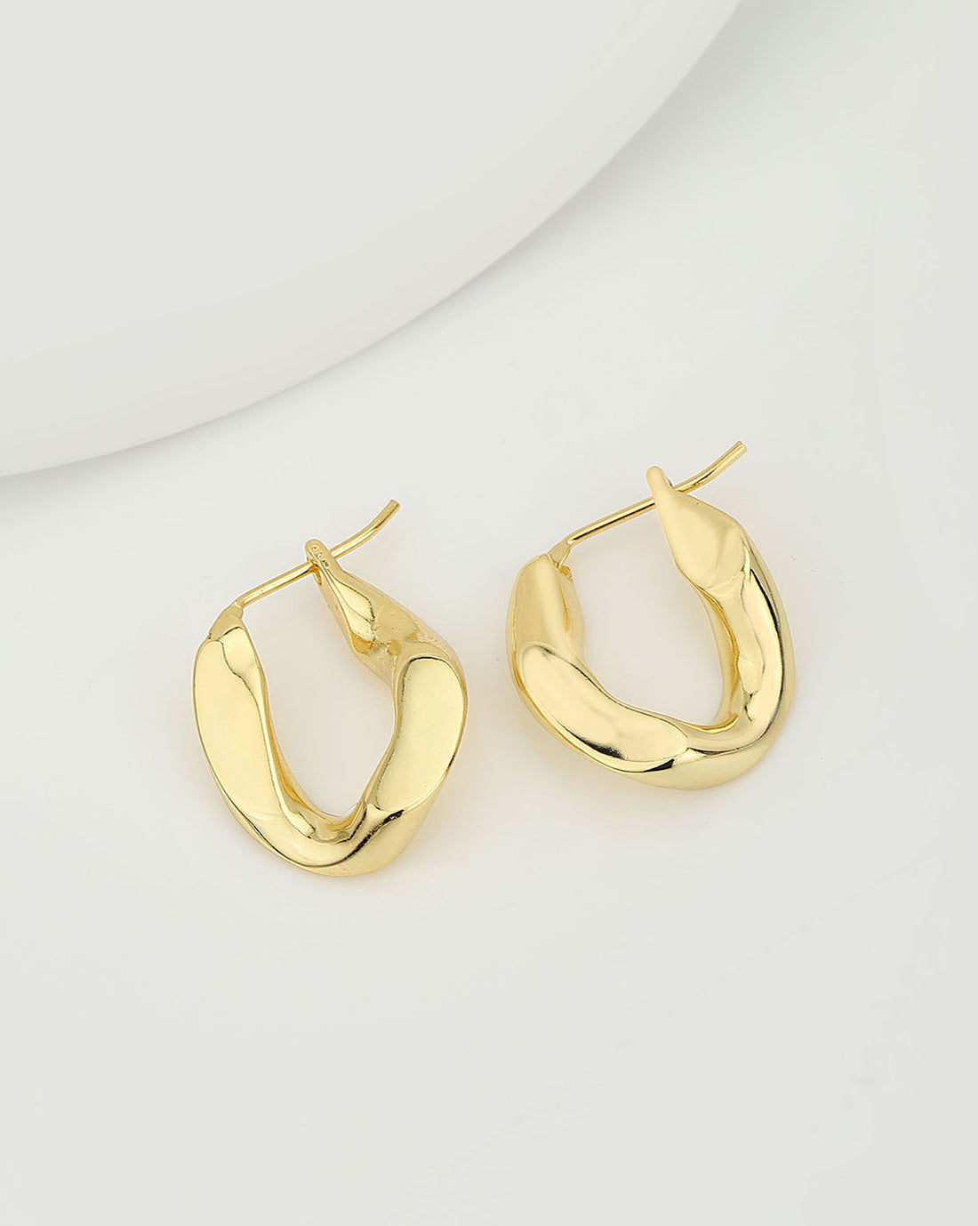 Gold Plated Stylish Hoop Earring For Women
