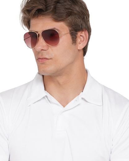 Carlton London Uv Protected Aviator Sunglasses For Men