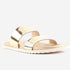 CLL-6562GOLD